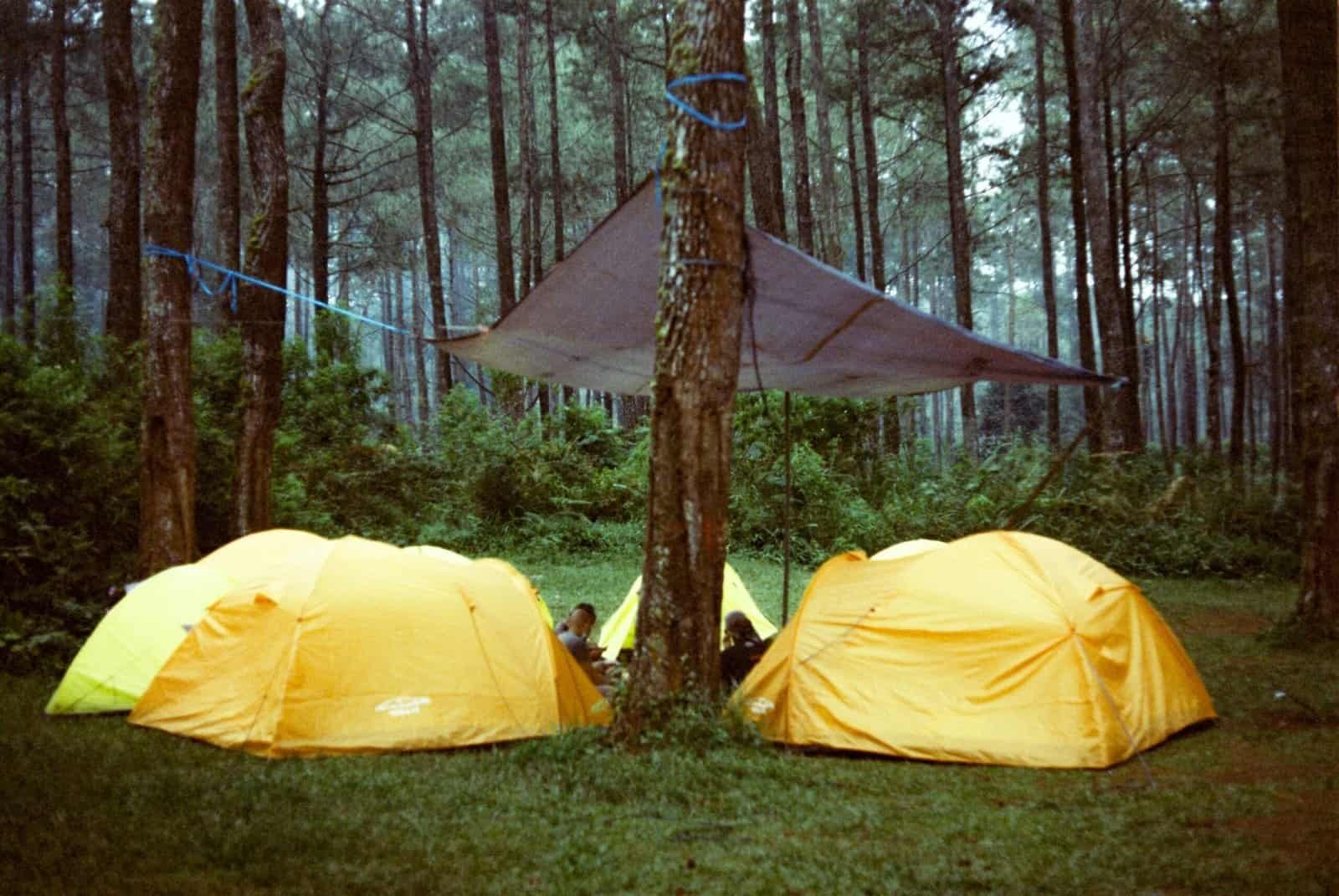 Weatherproof Tent for Any Condition