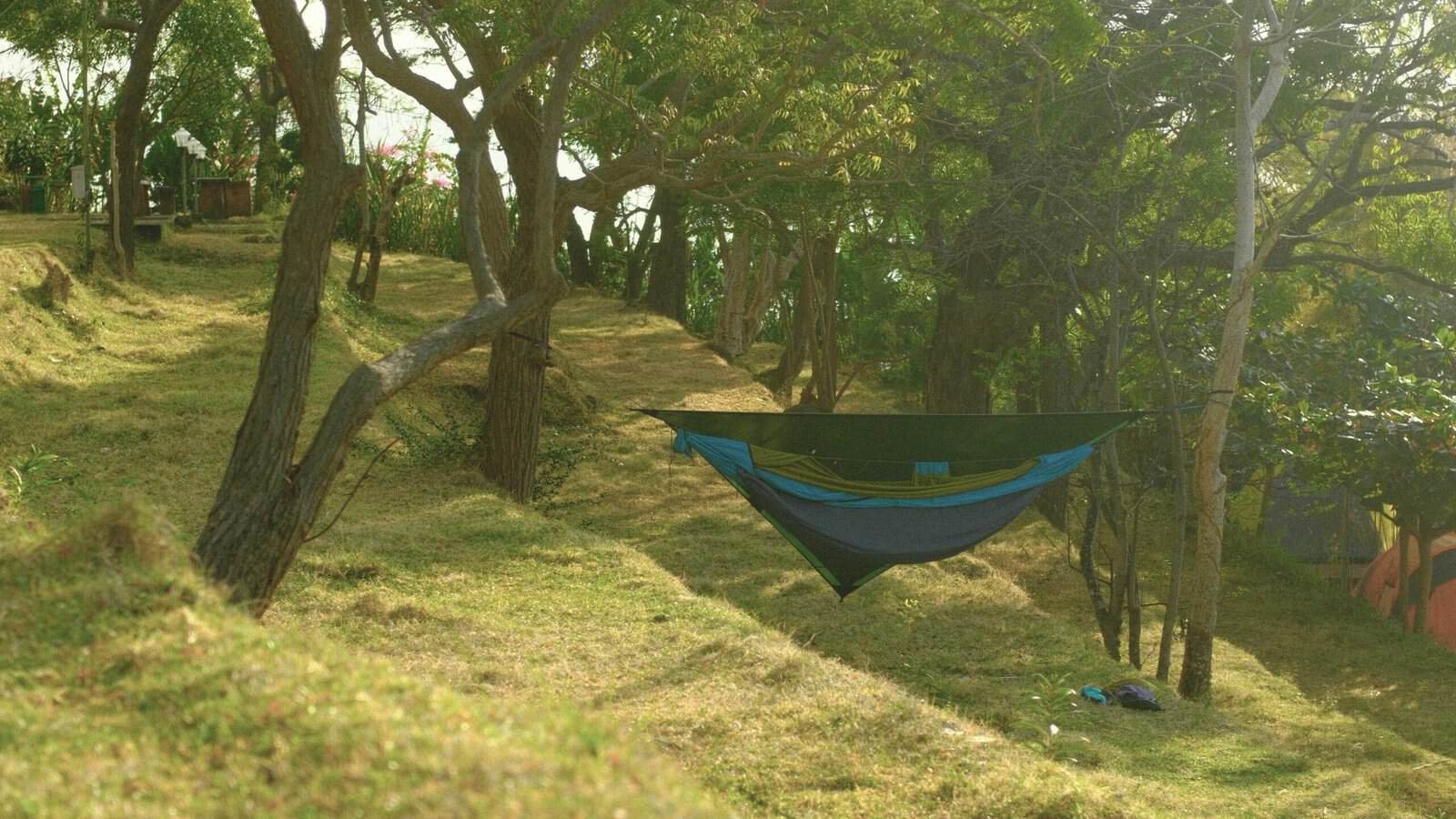 A hammock tent suspended between two trees in a lush forest