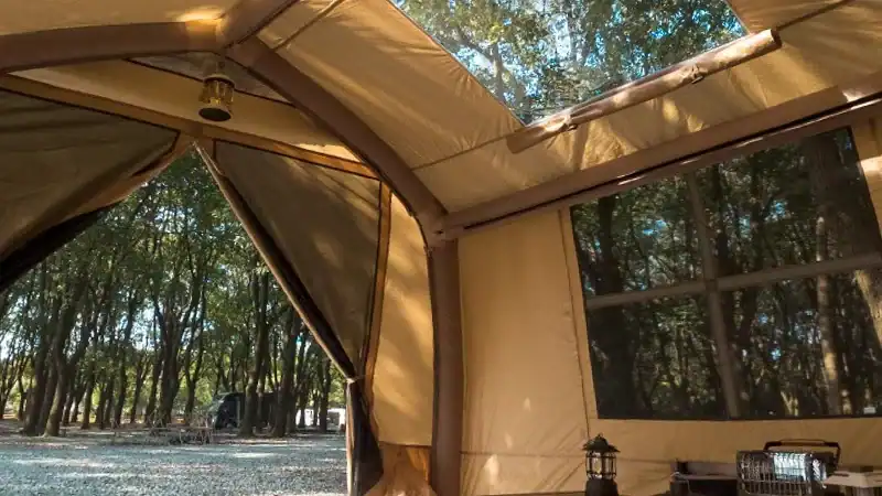 Camping tent in the woods with trees and natural light.
