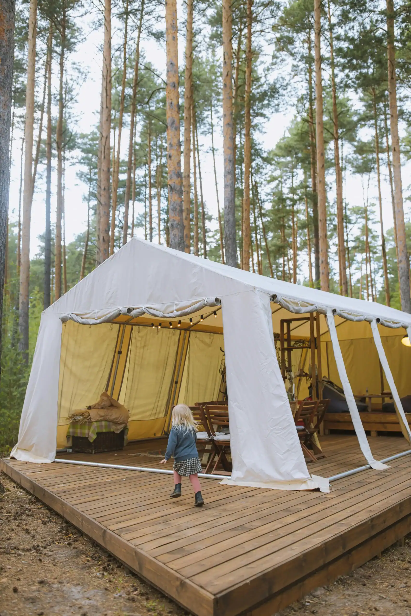 Tenda glamping ao ar livre montada em uma plataforma de madeira entre pinheiros altos.