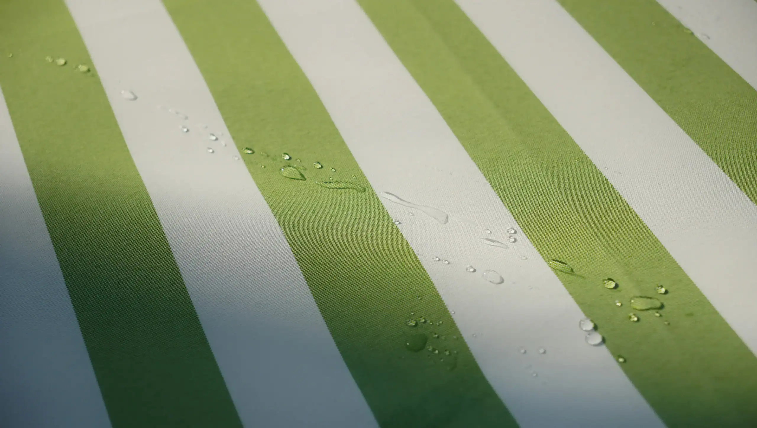 Folha verde com gotículas de água, mostrando o frescor da natureza e a serenidade ao ar livre.
