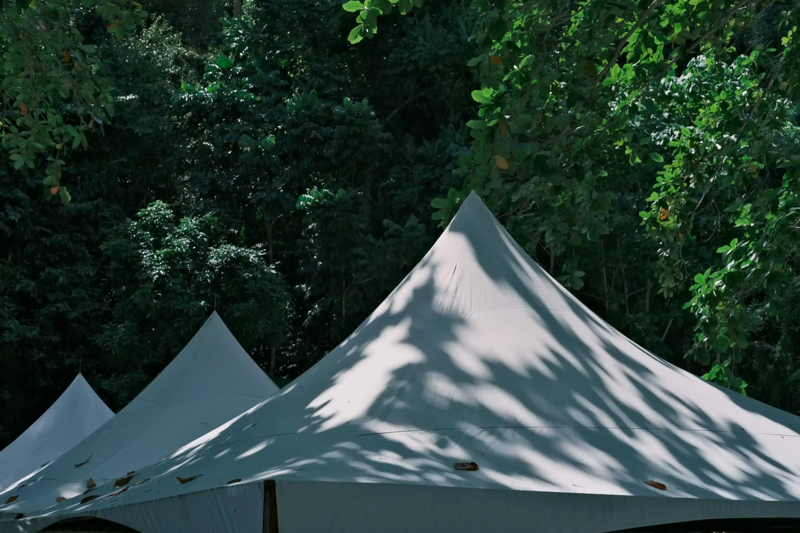 Tent canopies set up outdoors among lush green trees, providing shade and shelter in a natural envir.