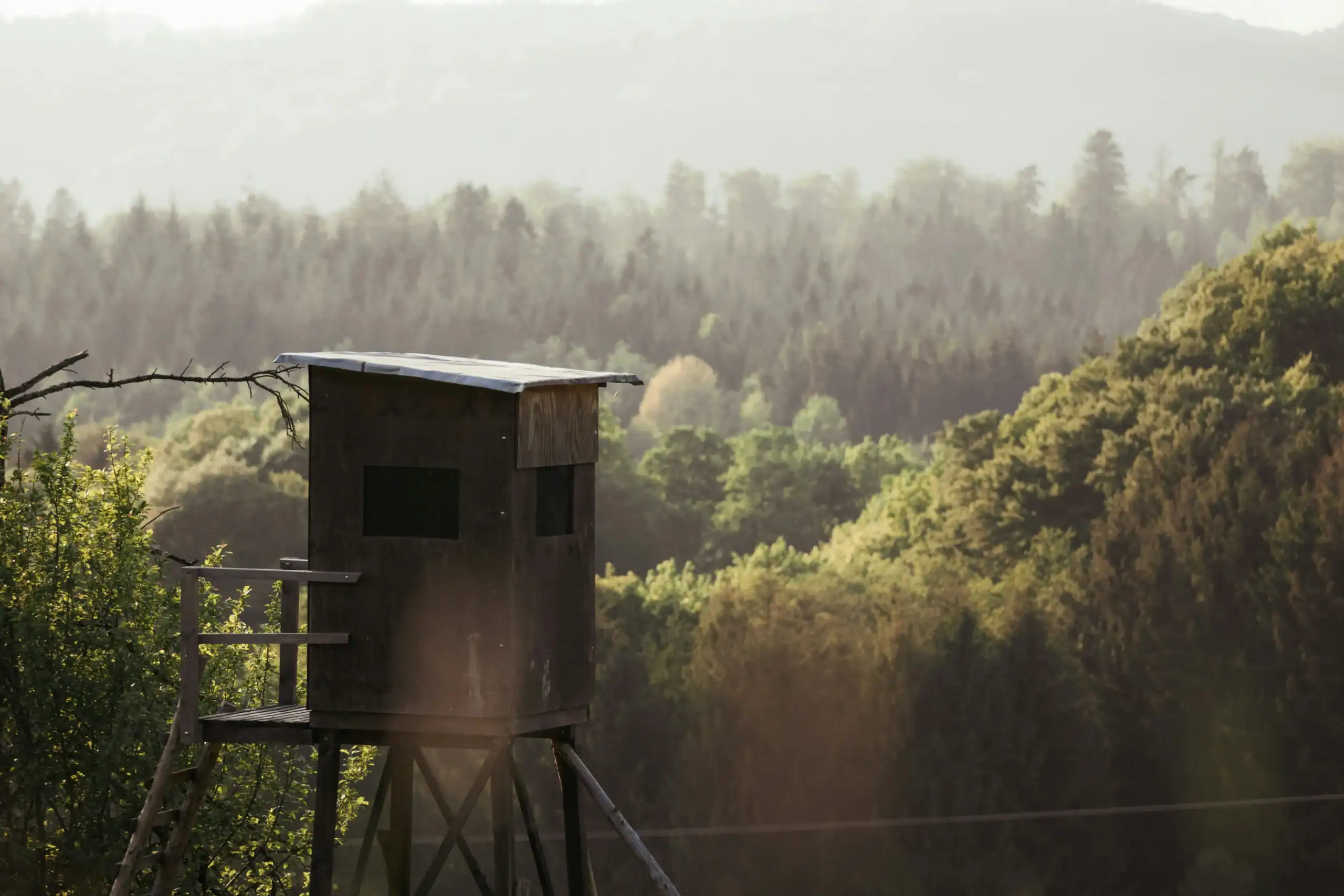 Hunting Blind Design: OEM & ODM Sourcing Guide 6 Wooden treehouse perched on stilts amidst lush green forest, scenic outdoor setting for kids' play a.