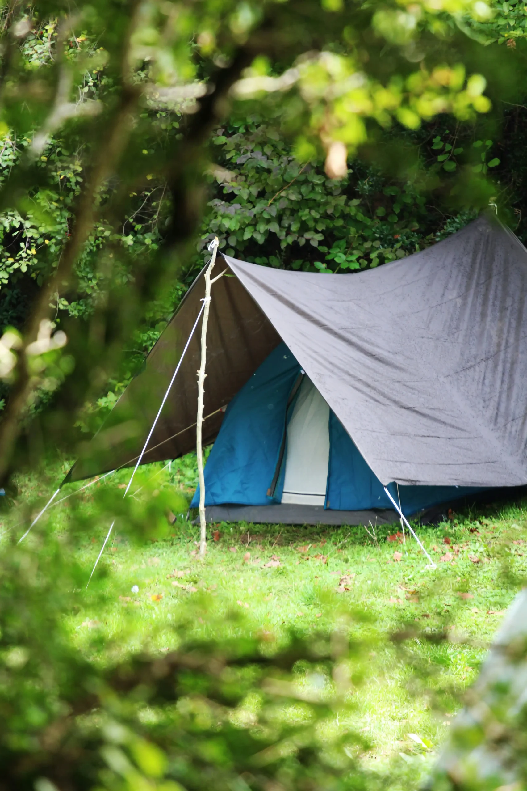 Private Label Tent Warranty: Hidden Costs for Retailers 11 Unsplash Image _HVNS4F_7a0 by Kampbros
