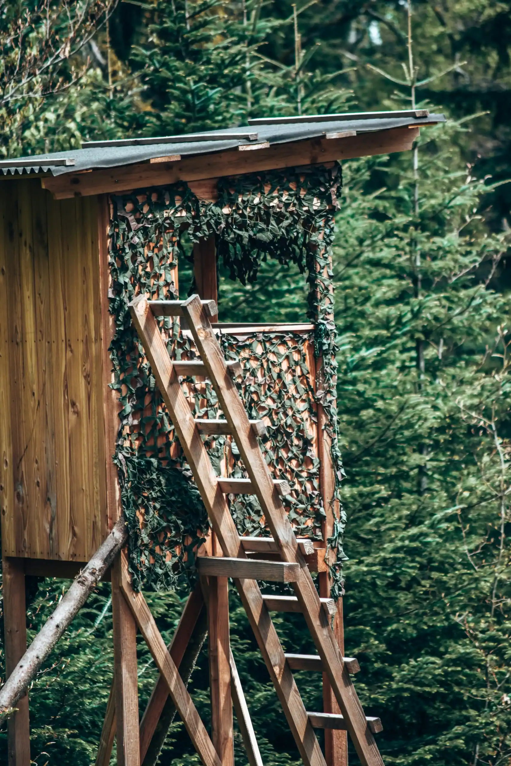 Treehouse with camouflage netting and wooden ladder in a lush forest setting.