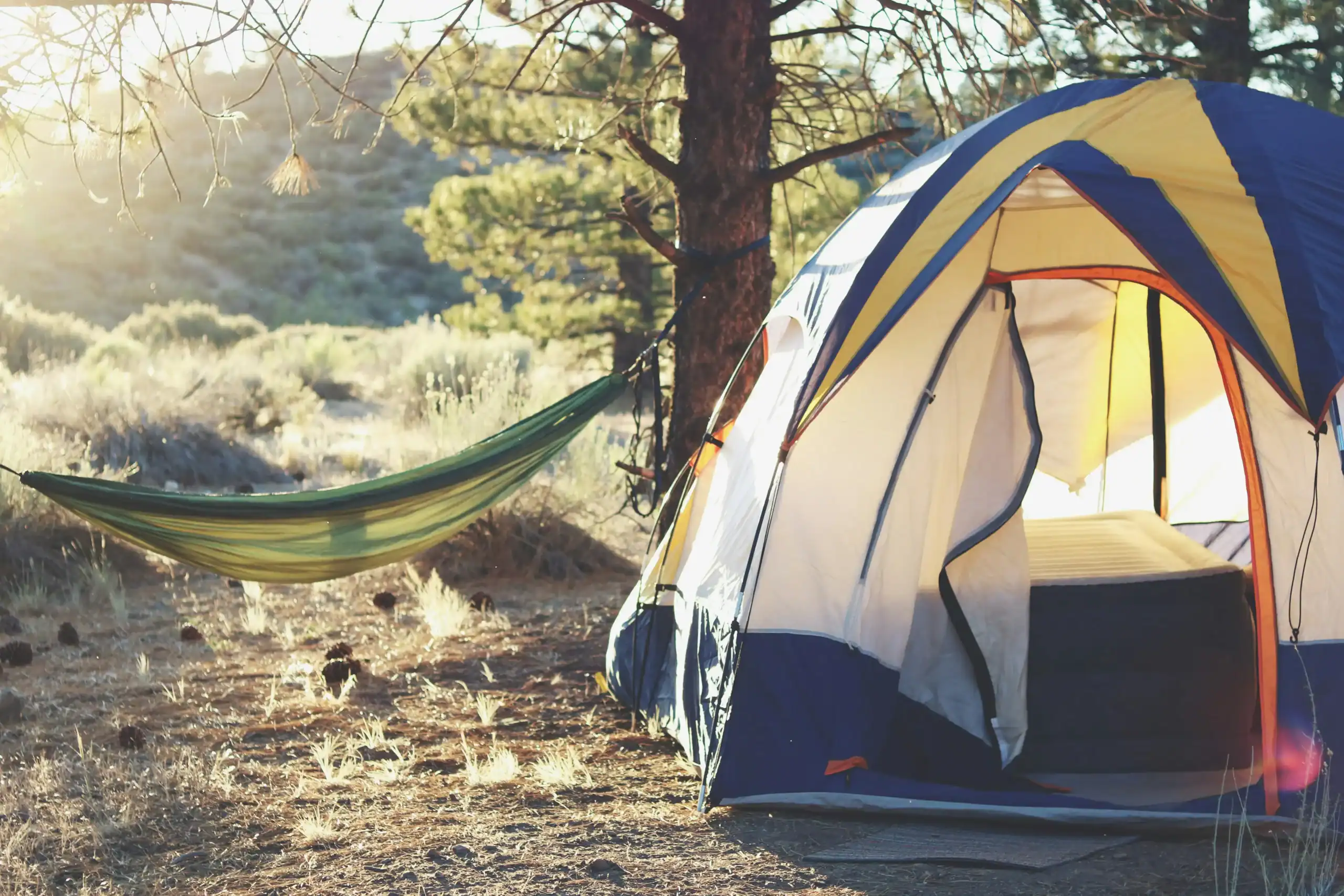 Private Label Tent Warranty: Hidden Costs for Retailers 15 Unsplash Image RMicIhNOOIg by Laura Pluth