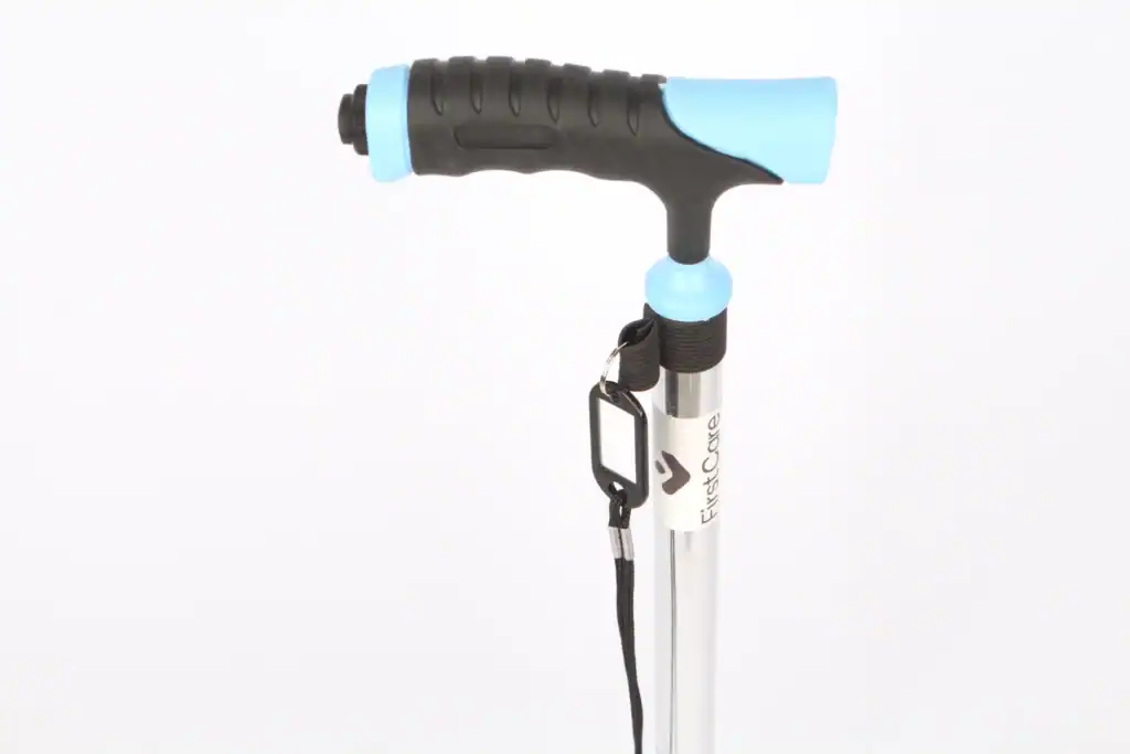 Close-up of a trekking pole handle with an ergonomic blue and black grip, a wrist strap, and a carabiner attached to a lightweight aluminum body.